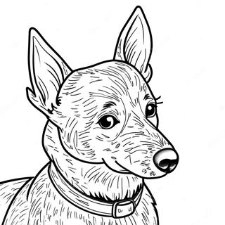 Blue Heeler Coloring Page 48184-40056