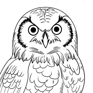 Snowy Owl Coloring Page 48544-40331