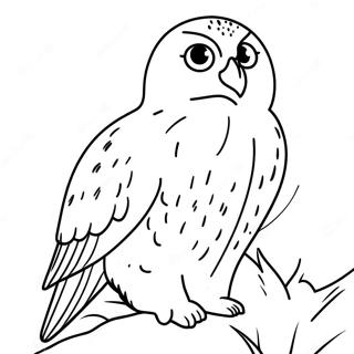 Snowy Owl Coloring Page 48544-40332