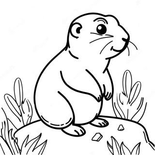 Prairie Dog Coloring Page 48614-40390