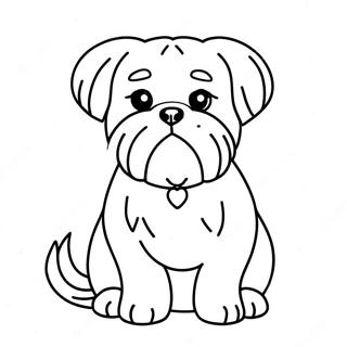 Maltese Dog Coloring Page 49644-41411