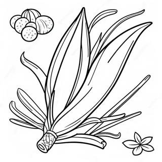 Colorful Lulav And Etrog Coloring Page 49865-41594