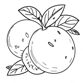 Mango Coloring Pages