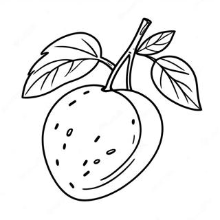 Mango Fruit Coloring Page 49924-41654