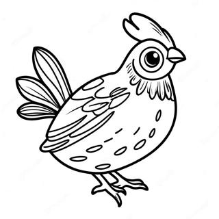 Quail Coloring Page 50024-41718