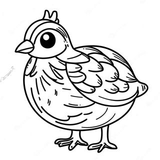 Quail Coloring Page 50024-41719