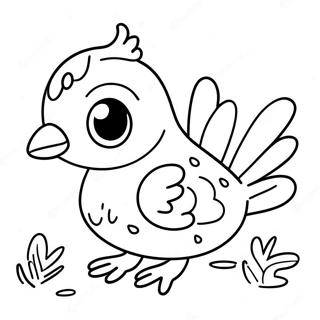 Cute Baby Quail Coloring Page 50025-41724