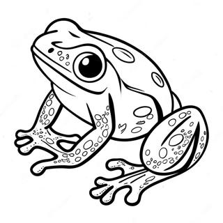 Poison Dart Frog Coloring Page 50544-42127