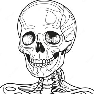 Skeletal System Coloring Page 50764-42306