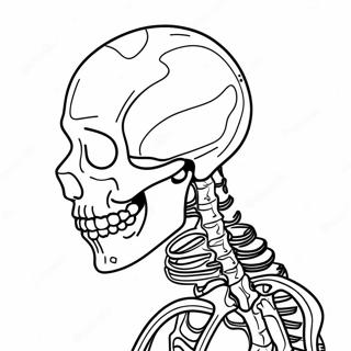 Skeletal System Coloring Page 50764-42307