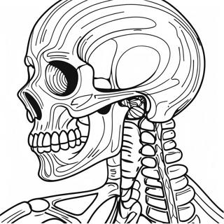 Detailed Skeletal Anatomy Coloring Page 50765-42294