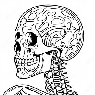 Detailed Skeletal Anatomy Coloring Page 50765-42296