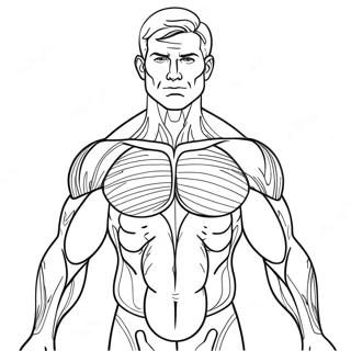 Muscle Coloring Pages