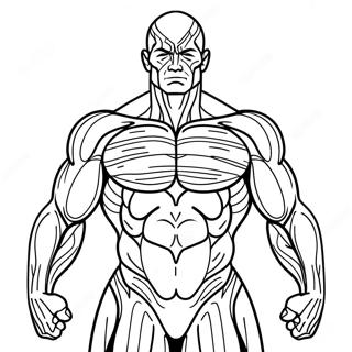 Muscle Anatomy Coloring Page 50964-42454