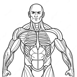 Muscle Anatomy Coloring Page 50964-42455