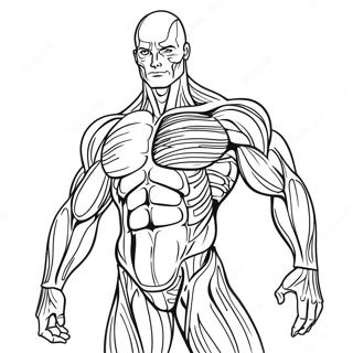 Muscle Anatomy Coloring Page 50964-42456