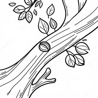 Tree Branch Coloring Page 51384-42808