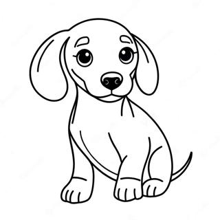 Dachshund Coloring Page 5182-4154