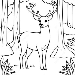 Realistic Deer For Adults Coloring Pages