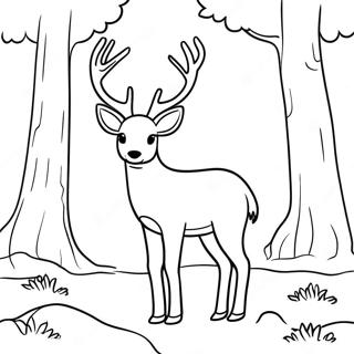 Realistic Deer In Forest Coloring Page 51884-43199