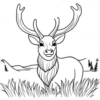 Majestic Stag Coloring Page 51885-43195