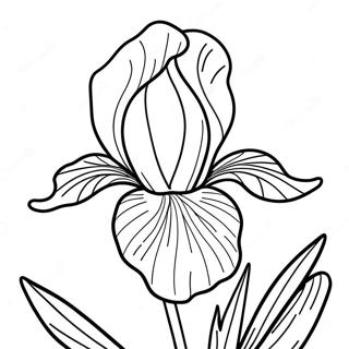 Iris Flower Coloring Page 52606-43754