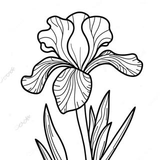 Iris Flower Coloring Page 52606-43755