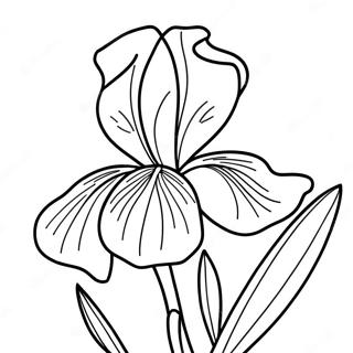 Iris Flower Coloring Page 52606-43756