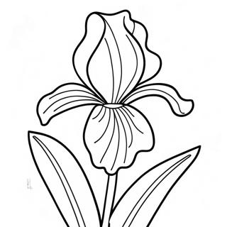 Beautiful Iris Bloom Coloring Page 52607-43757