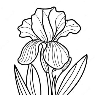 Beautiful Iris Bloom Coloring Page 52607-43760