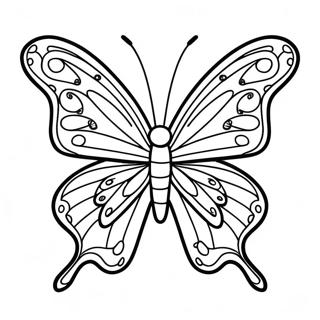 Colorful Butterfly Coloring Page 5293-4247