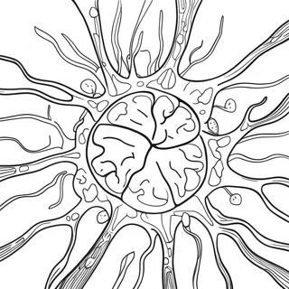 Colorful Brain Neurons Coloring Page 53368-44370