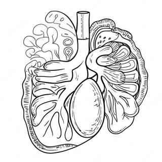 Colorful Digestive Organs Coloring Page 53639-44550