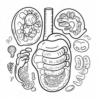 Colorful Digestive Organs Coloring Page 53639-44551