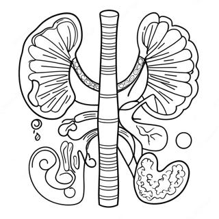 Colorful Digestive Organs Coloring Page 53639-44713