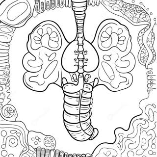 Colorful Digestive Organs Coloring Page 53639-44715