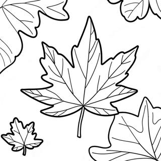 Vermont Maple Leaf Coloring Page 53699-44754