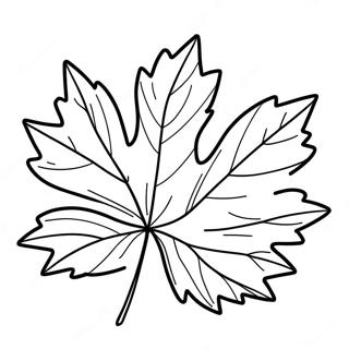 Vermont Maple Leaf Coloring Page 53699-44756