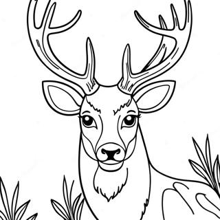 Deer Head Coloring Page 54370-45280