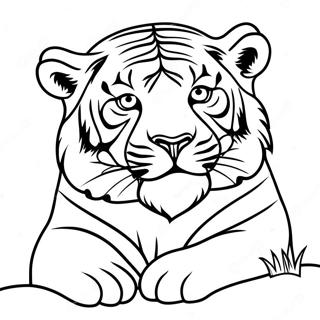 Wwf Coloring Page 54741-45555