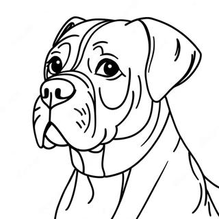 Cane Corso Dog Coloring Page 55211-45935