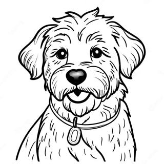 Aussiedoodle Coloring Page 55261-45971