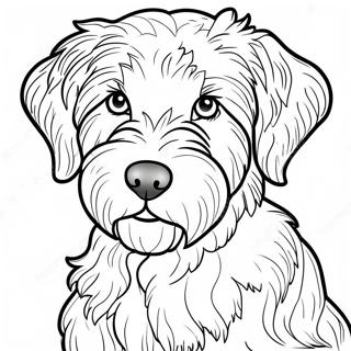 Aussiedoodle Coloring Page 55261-45972