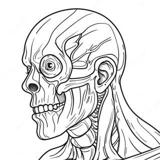 Gore Coloring Page 55771-46378