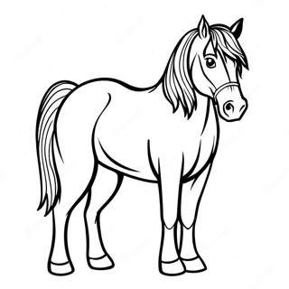 Clydesdale Coloring Pages