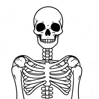 Xray Skeleton Coloring Page 56121-46647