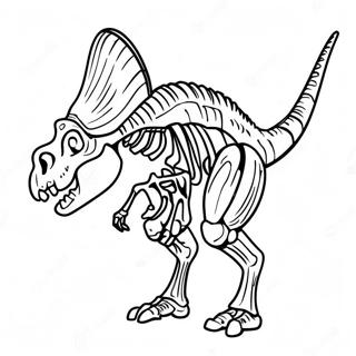 Xray Dinosaur Skeleton Coloring Page 56122-46658