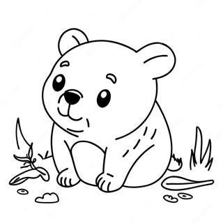 Wombat Coloring Page 56381-46870