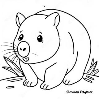 Wombat Coloring Page 56381-46872