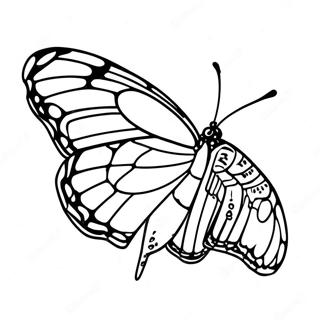 Monarch Butterfly Coloring Page 58615-48694